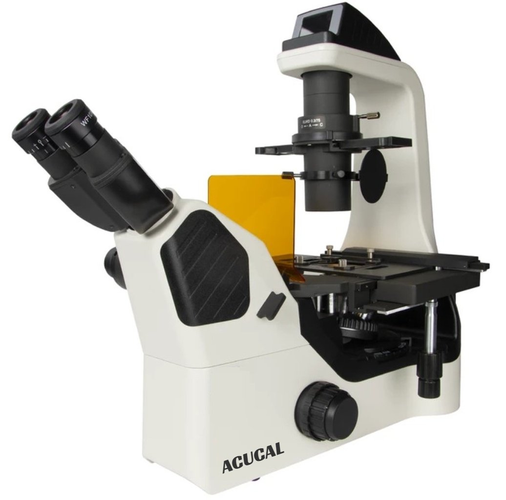 Product View
